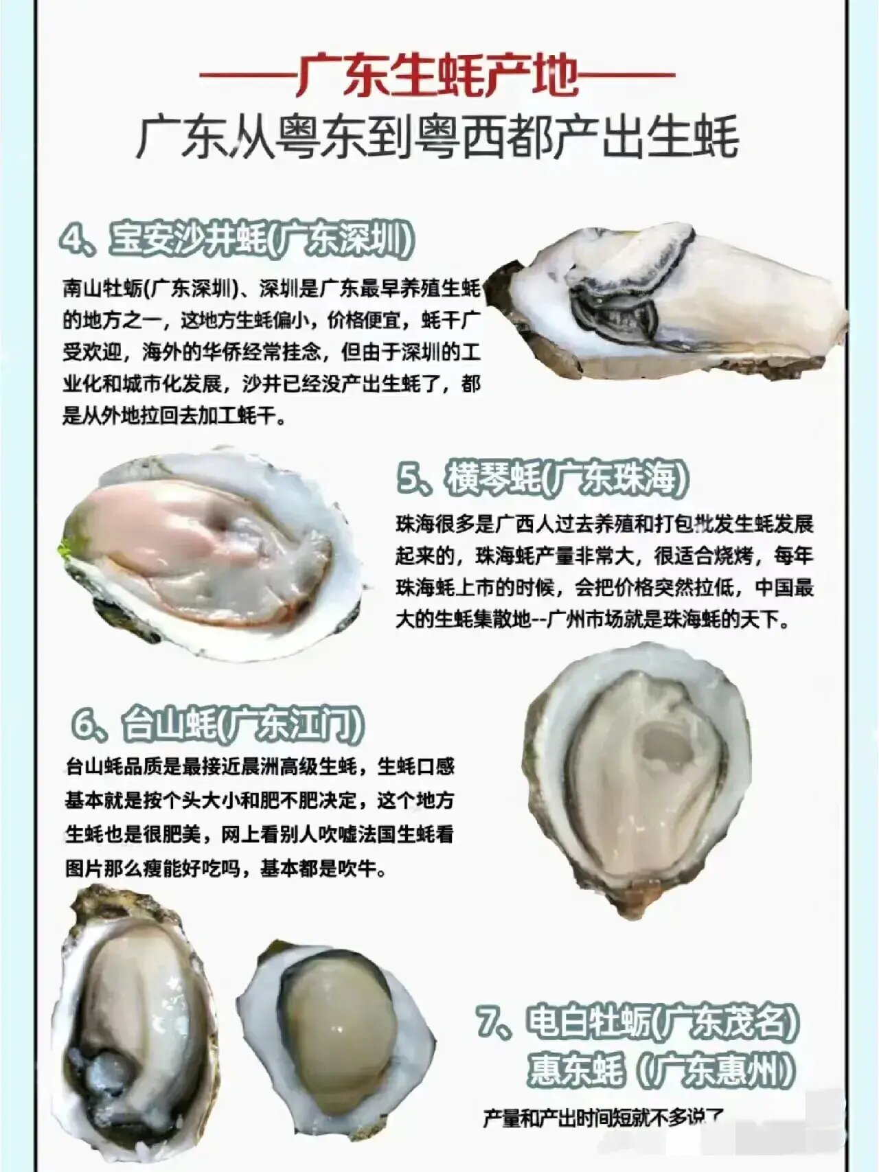 生蚝到底有几种