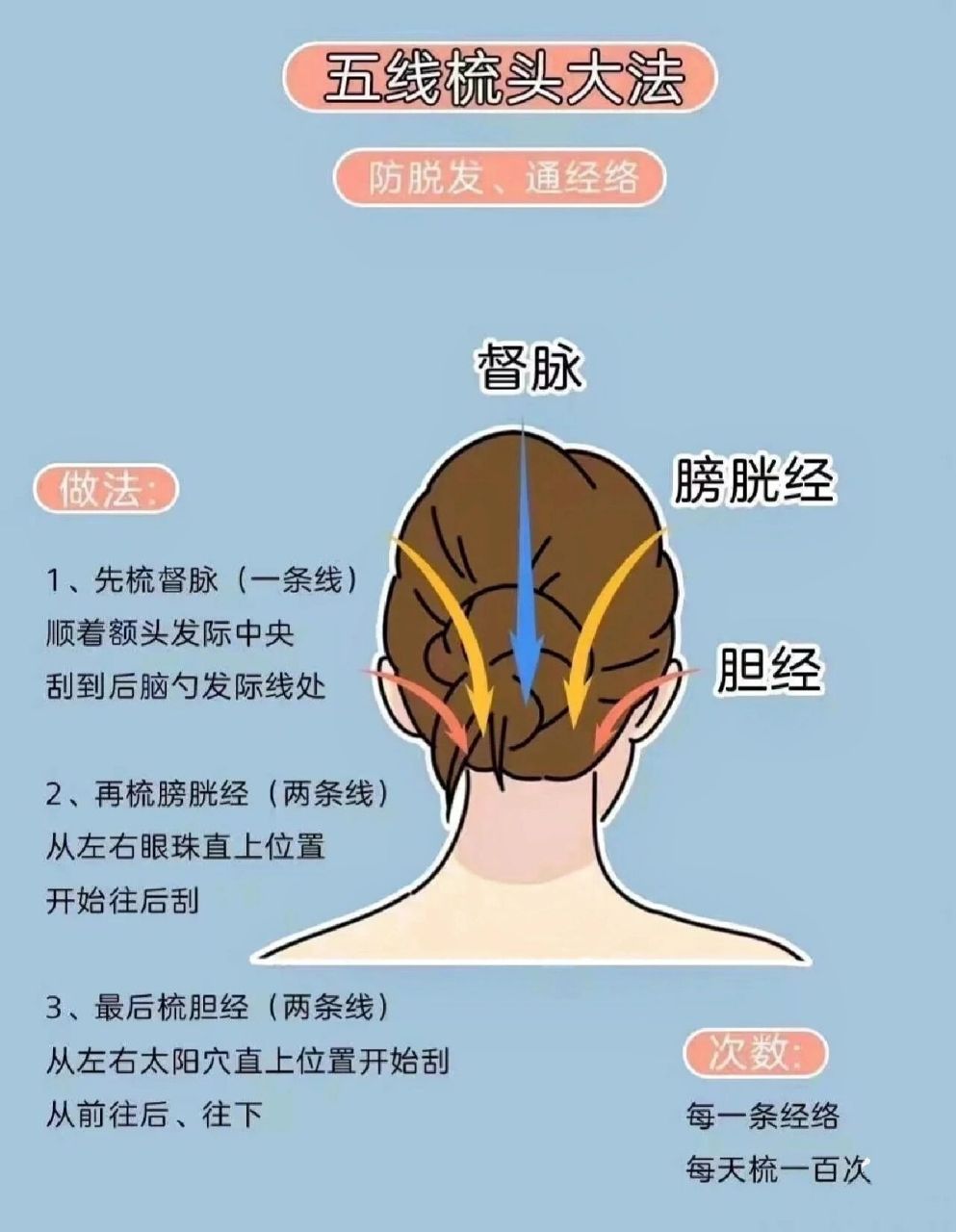 头皮按摩有这么多好处 头部是身体的领导者,头部的穴位占到了全身的四