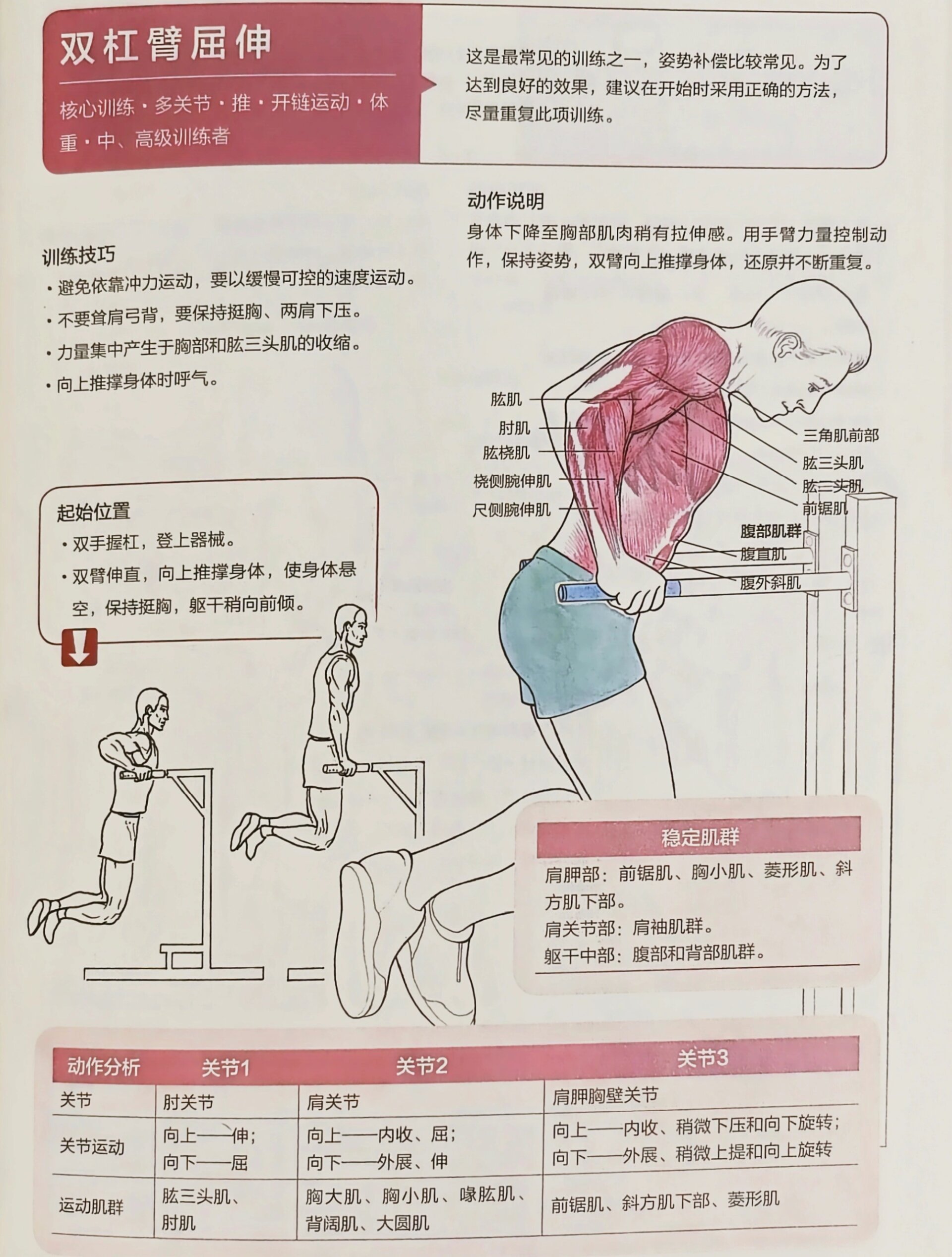 双杠动作名称及图片图片