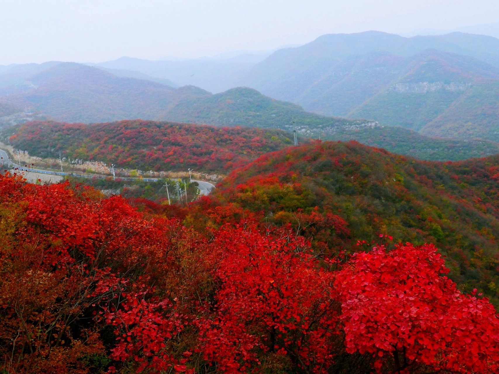 焦作 | 窄门峡谷,红叶飘飘