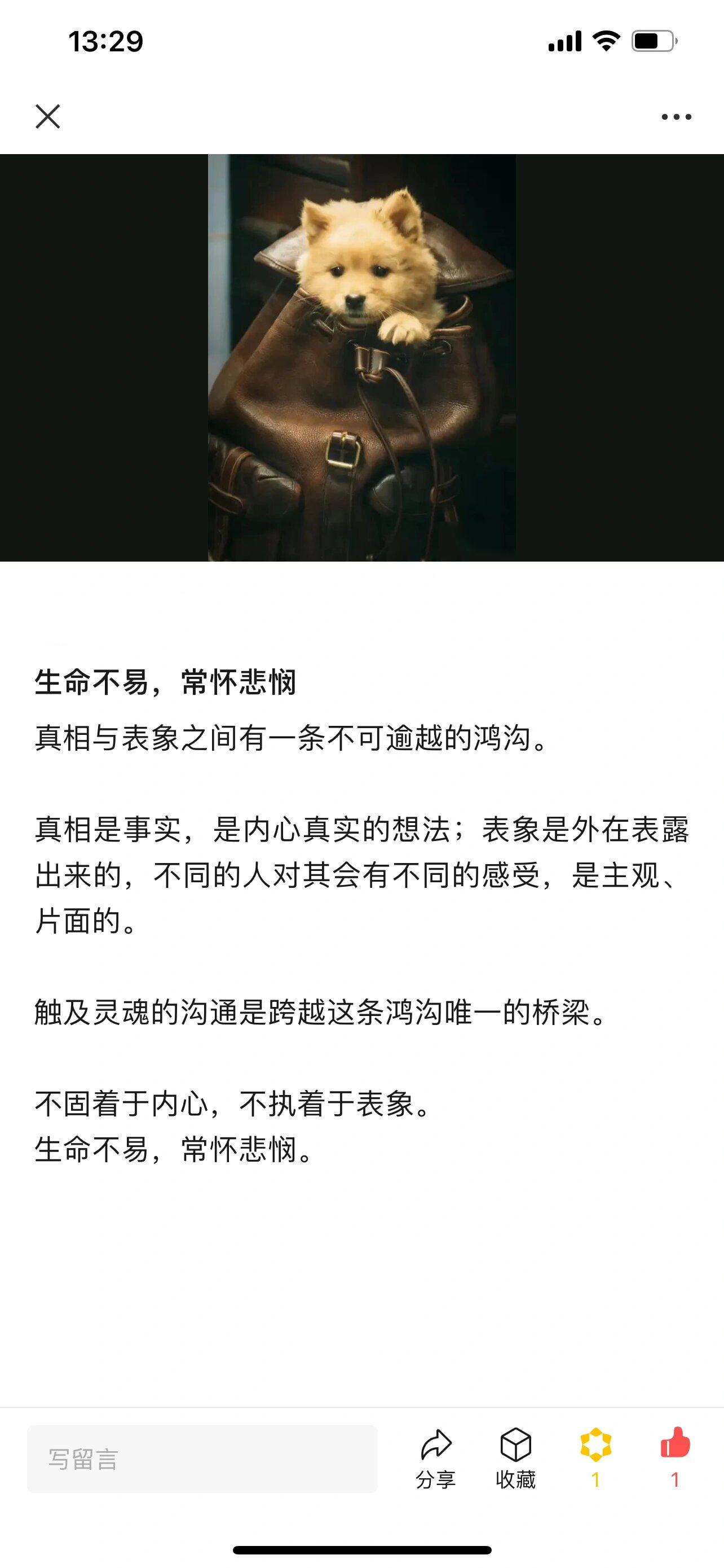 生命不易,常怀悲悯 真相与表象之间有一条不可逾越的鸿沟.