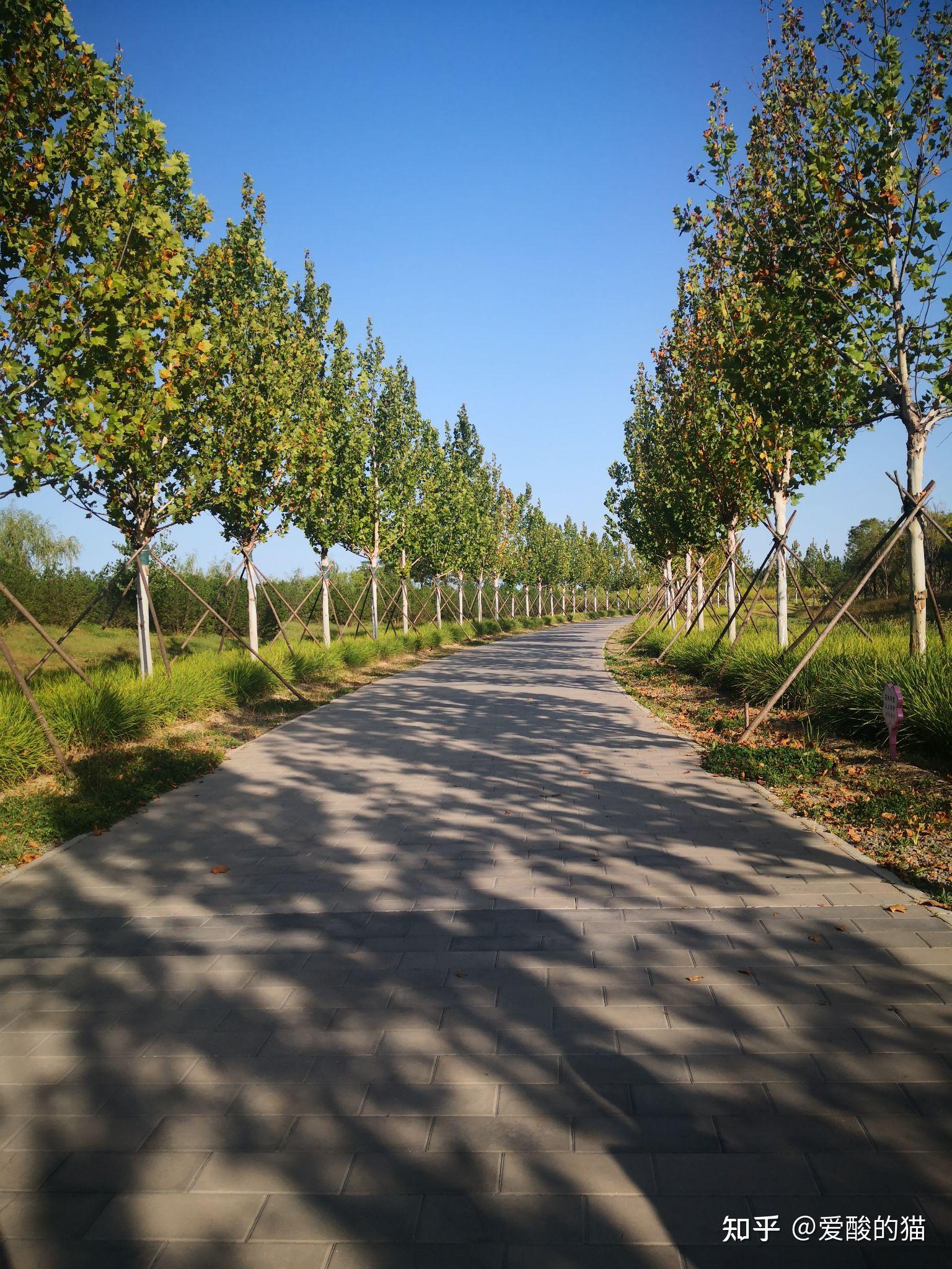 黑桥公园 - 知乎