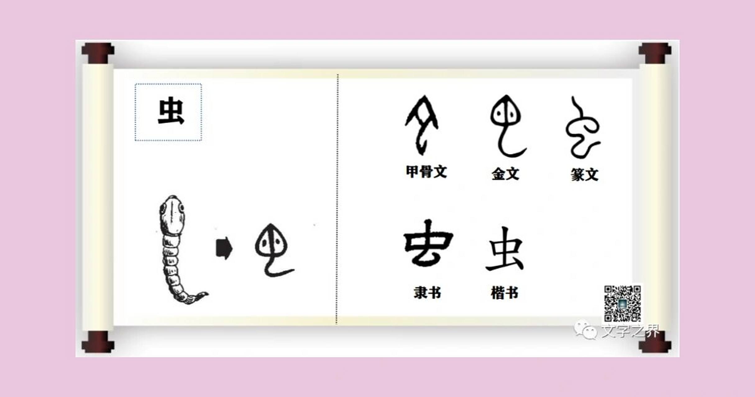 尖尖的脑袋,连接弯弯的细长形虫身,就像是一条虫的形状.