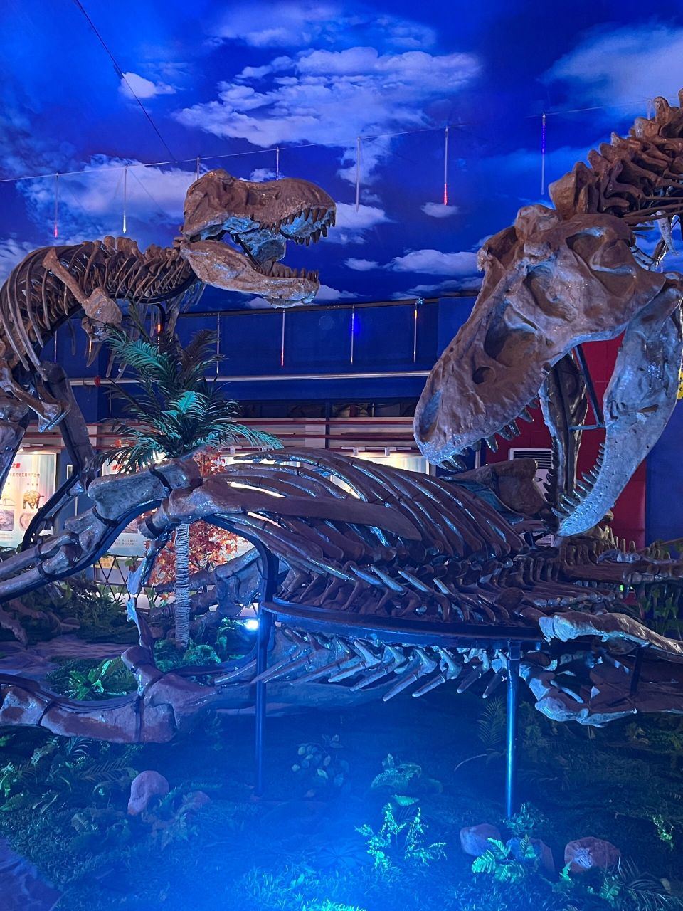 诸城诸城市恐龙博物馆图片