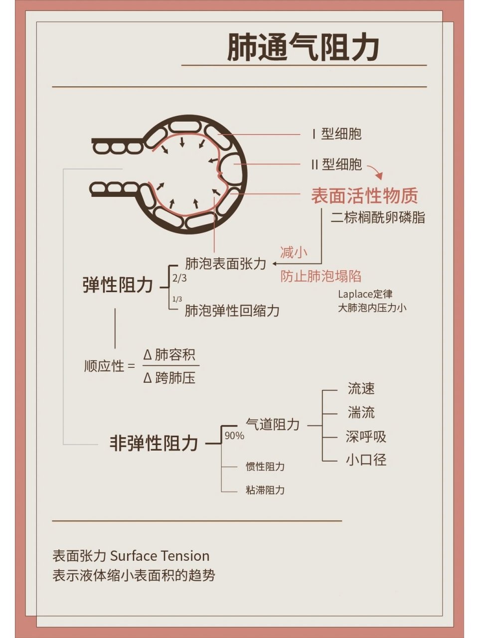 肺通气阻力图片