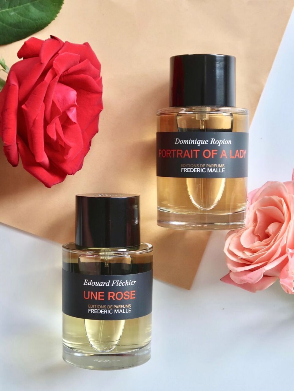 一轮玫瑰和贵妇肖像,谁才玫瑰爱好者的真爱呢? .