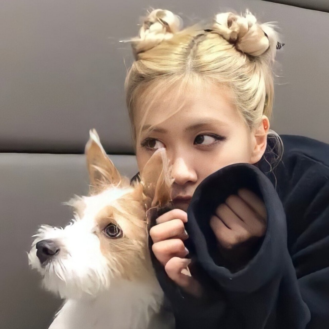 你没见过的朴彩英头像 rosie and hank93