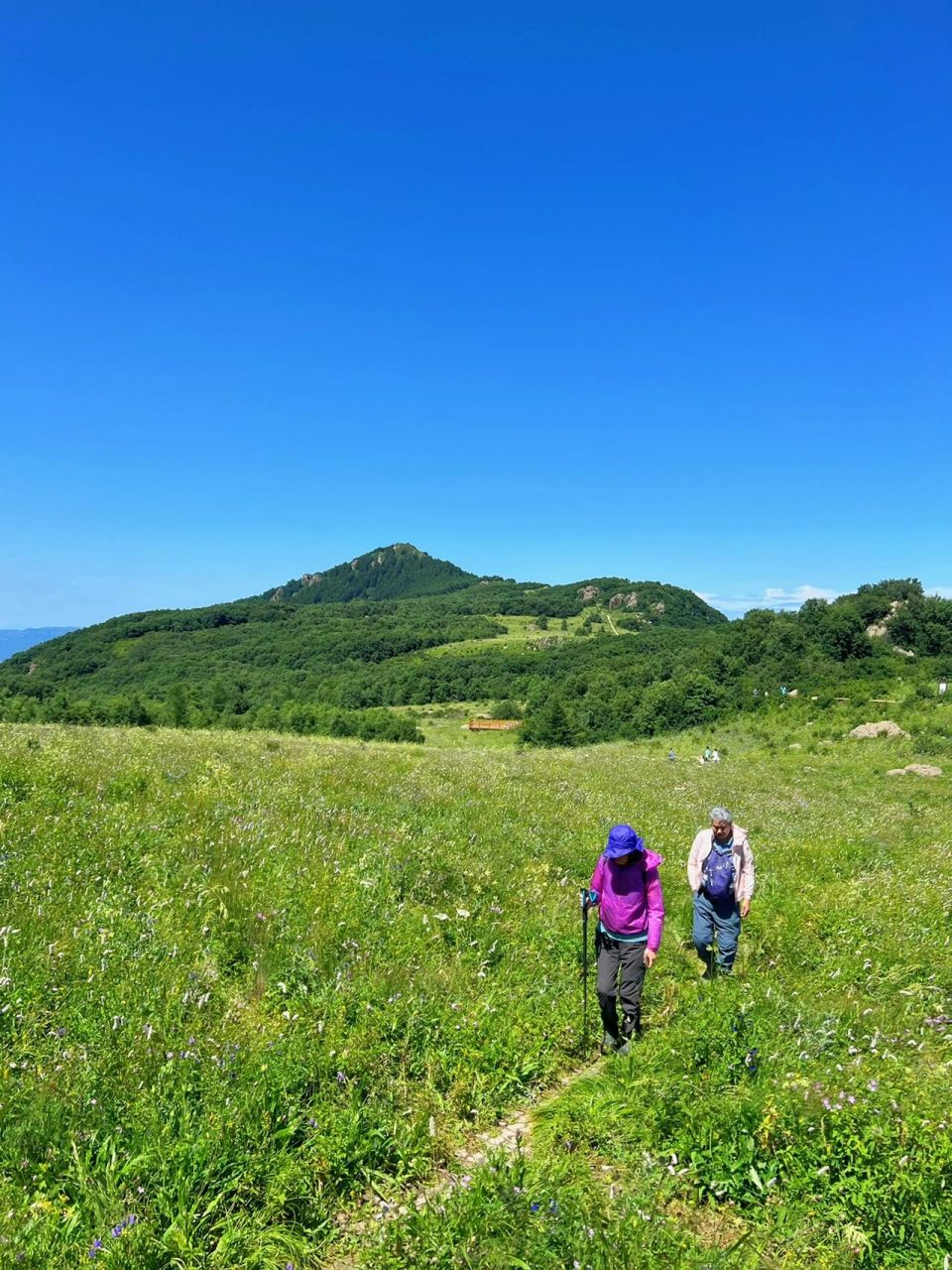 白草畔丨隐藏在海拔2000米中的高山秘境 远离城市元素一切工业化的