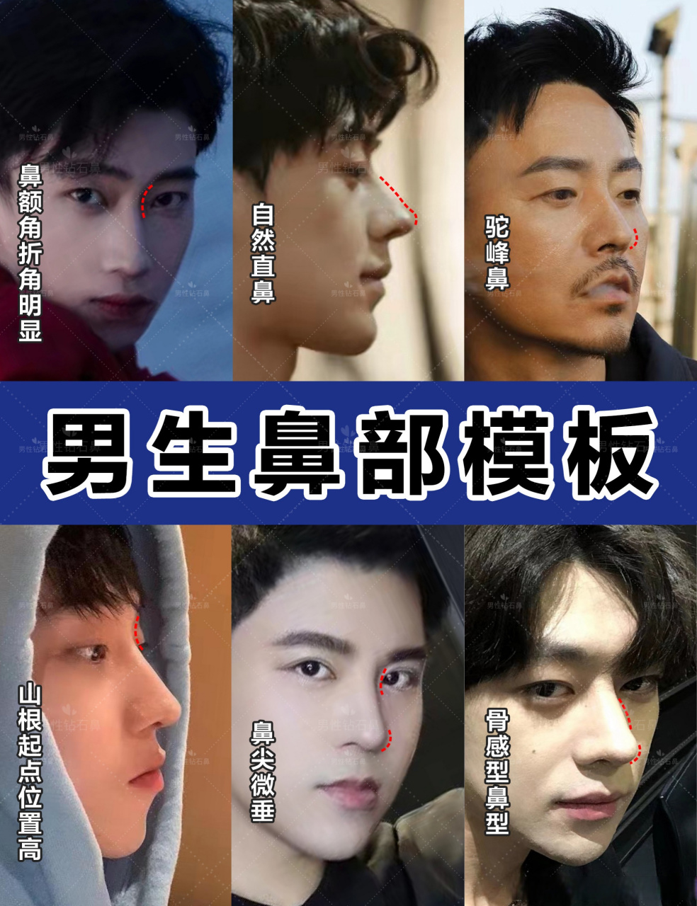 你们理想中的男性鼻模板是什么样的?