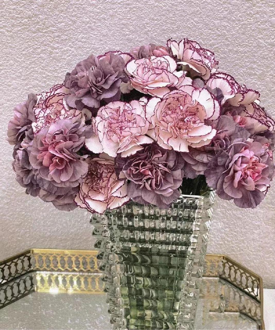 野马康乃馨和紫精灵康乃馨的搭配真的太美了!