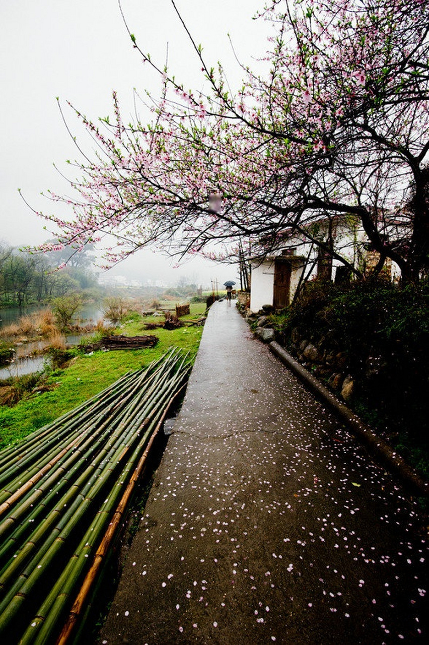 餘姚冠佩村·人間煙火