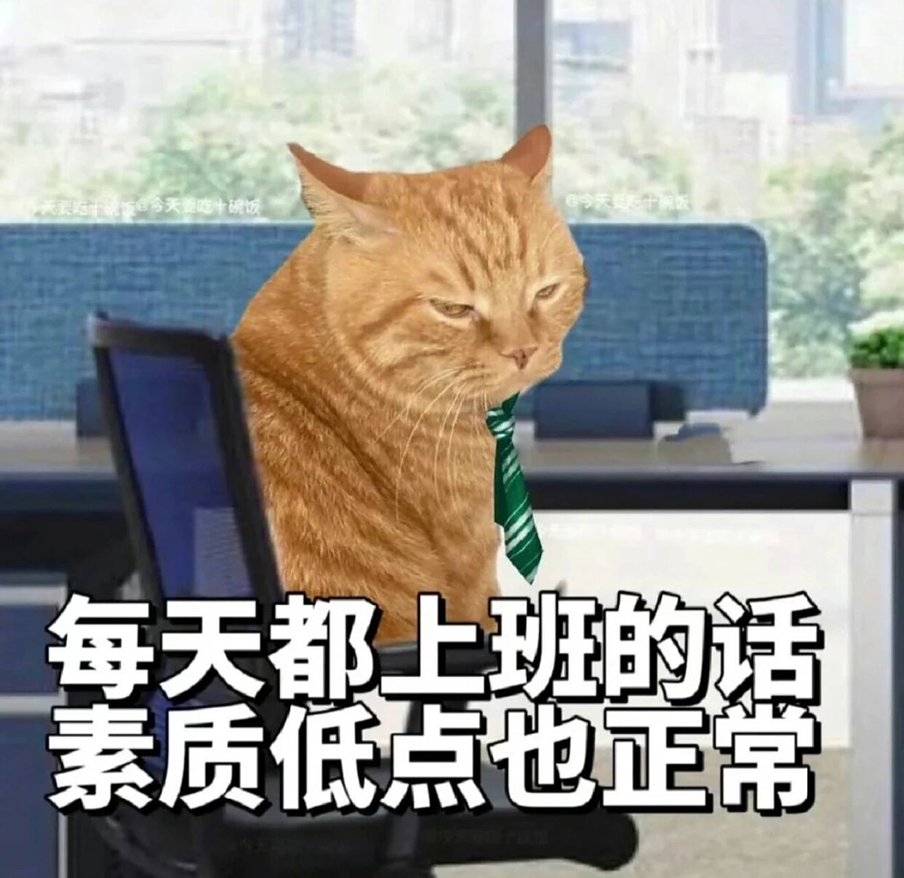 丧心病狂精神失常热爱工作的社畜表情包大赏 我对生活抱怨好苦,生活说