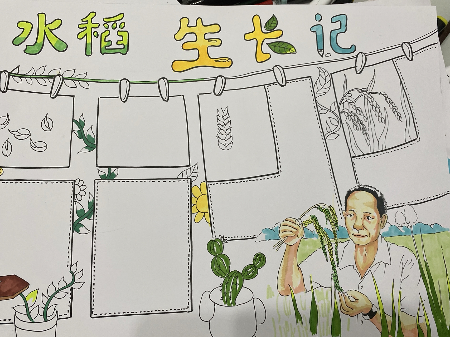 植物生长日记 儿童画 纪念袁隆平老爷爷