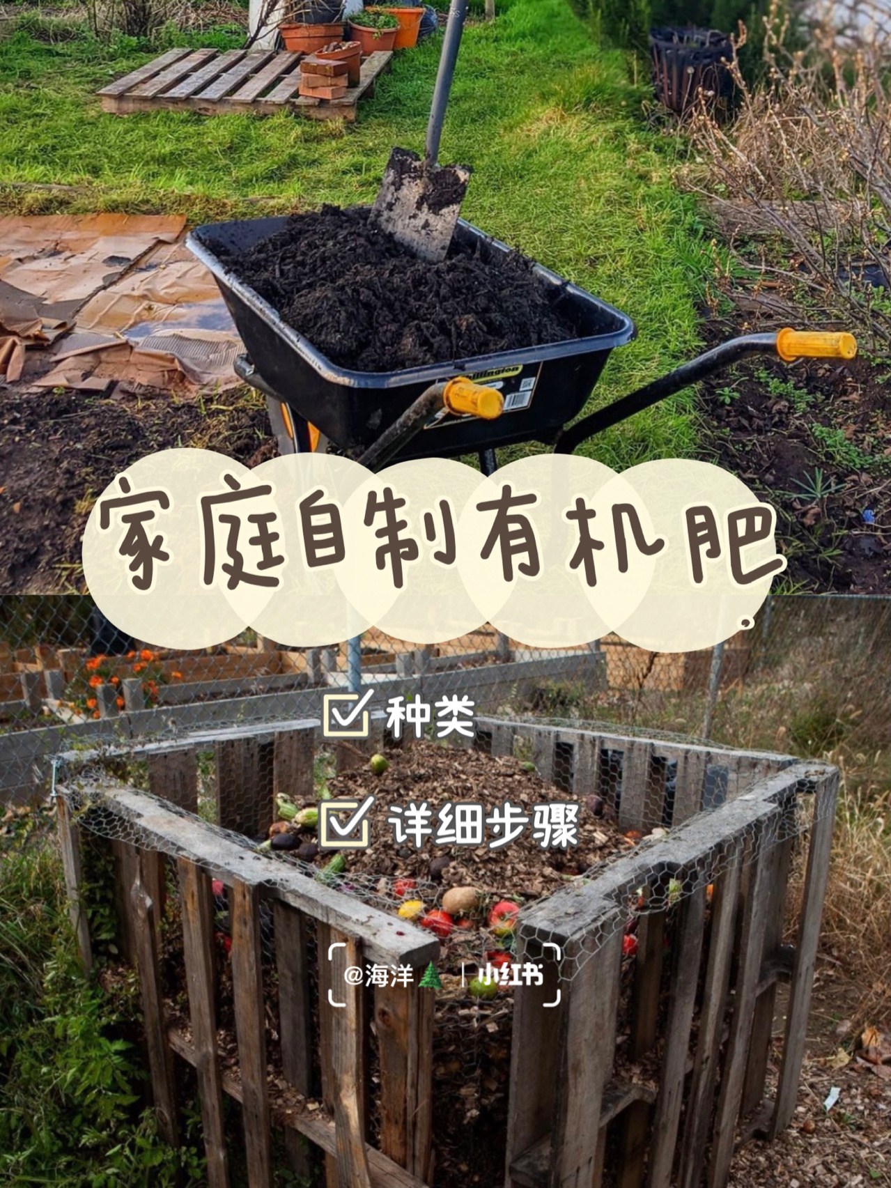 怎么用土方法种食用菌？