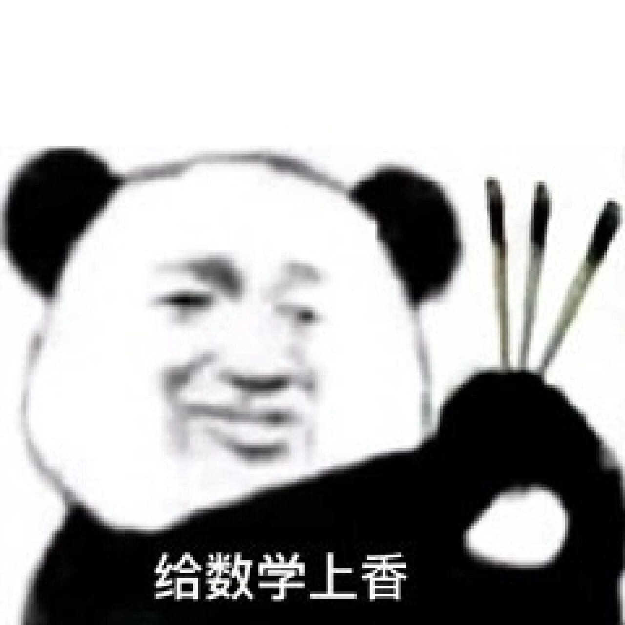 熊猫头表情包 给考试上香 过过过 不挂科