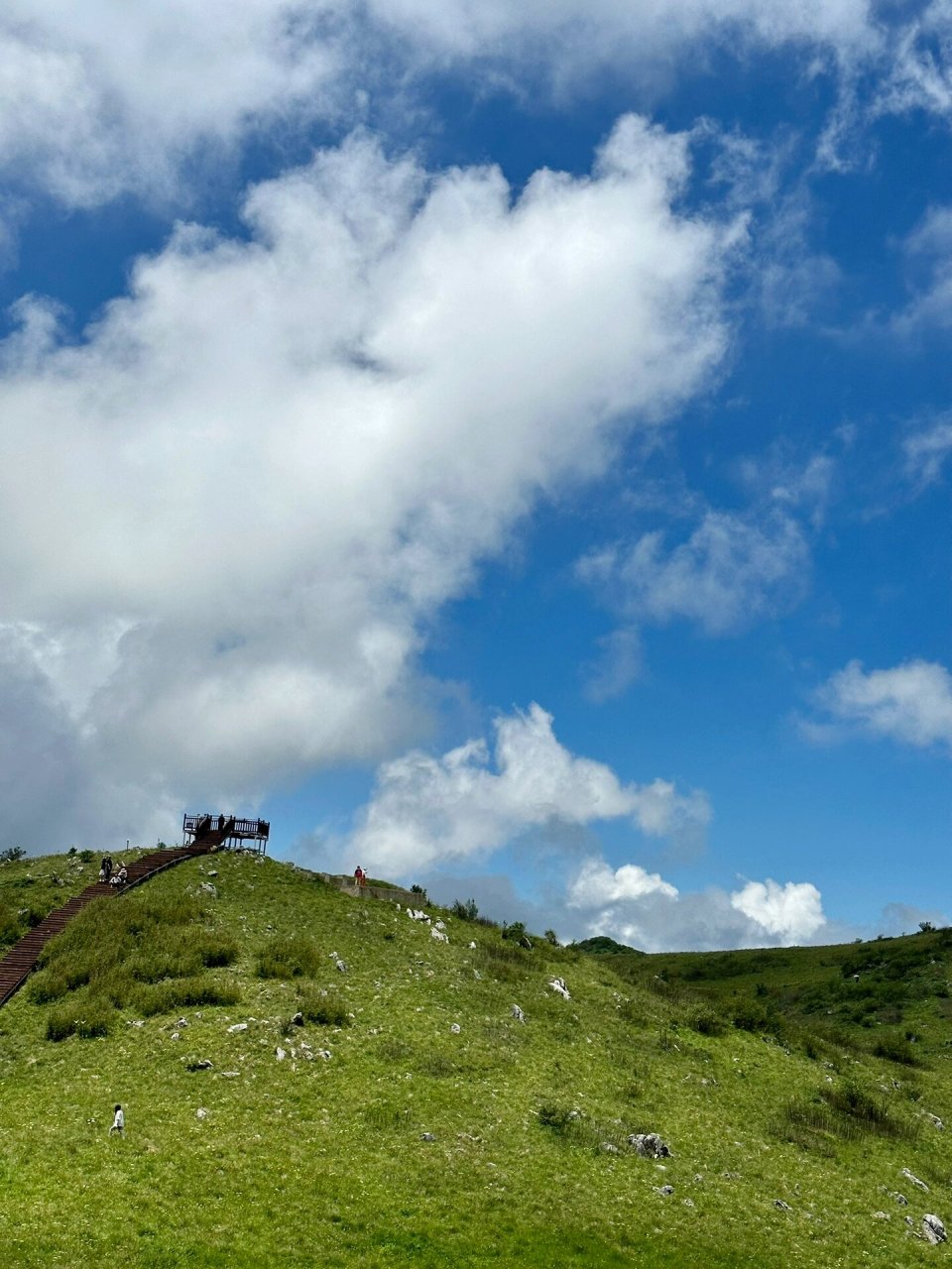 紫柏山-最容易到达的秦岭高山草甸 紫柏山位于汉中市留坝县,门票35元,