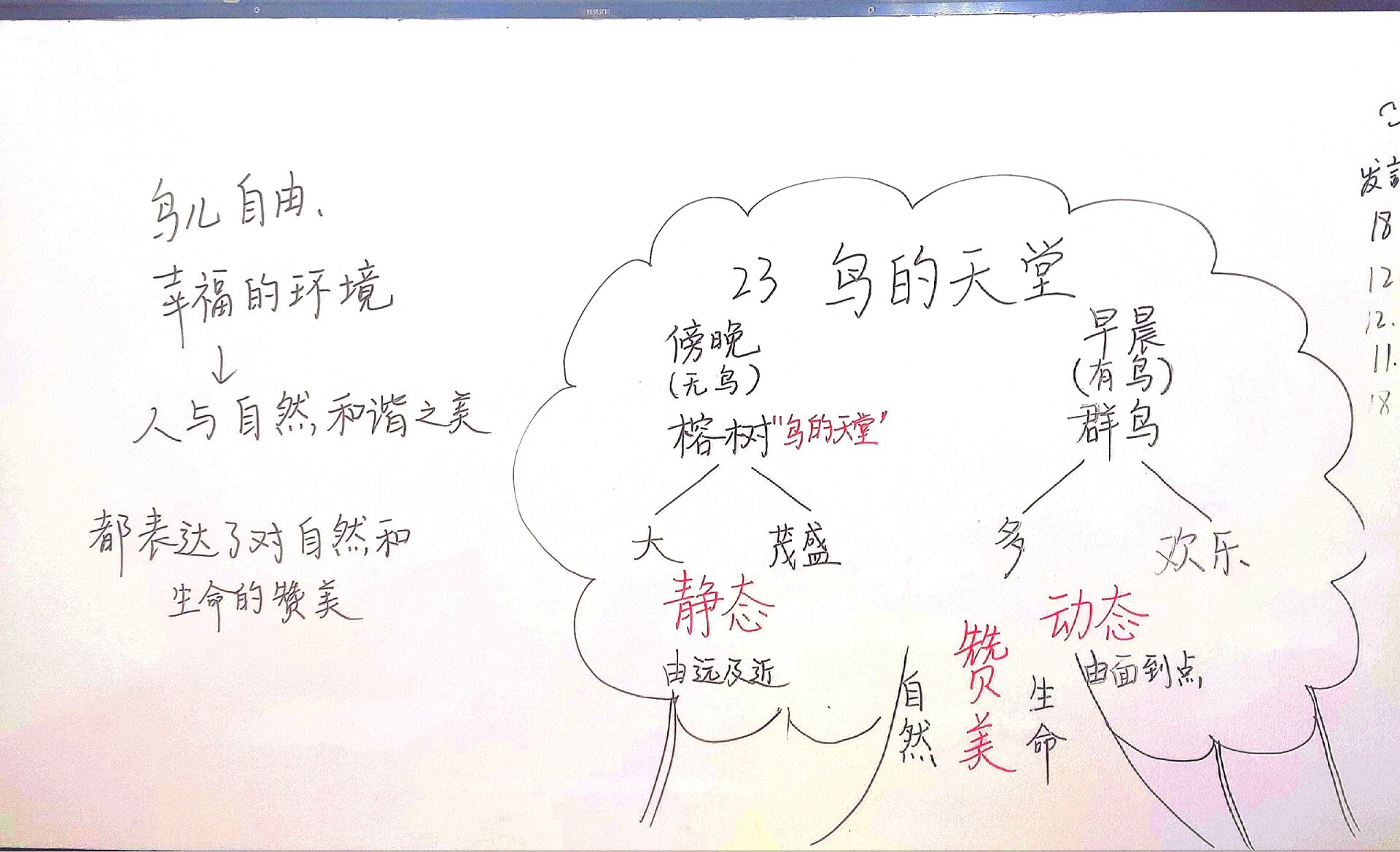 五上语文板书设计《鸟的天堂》