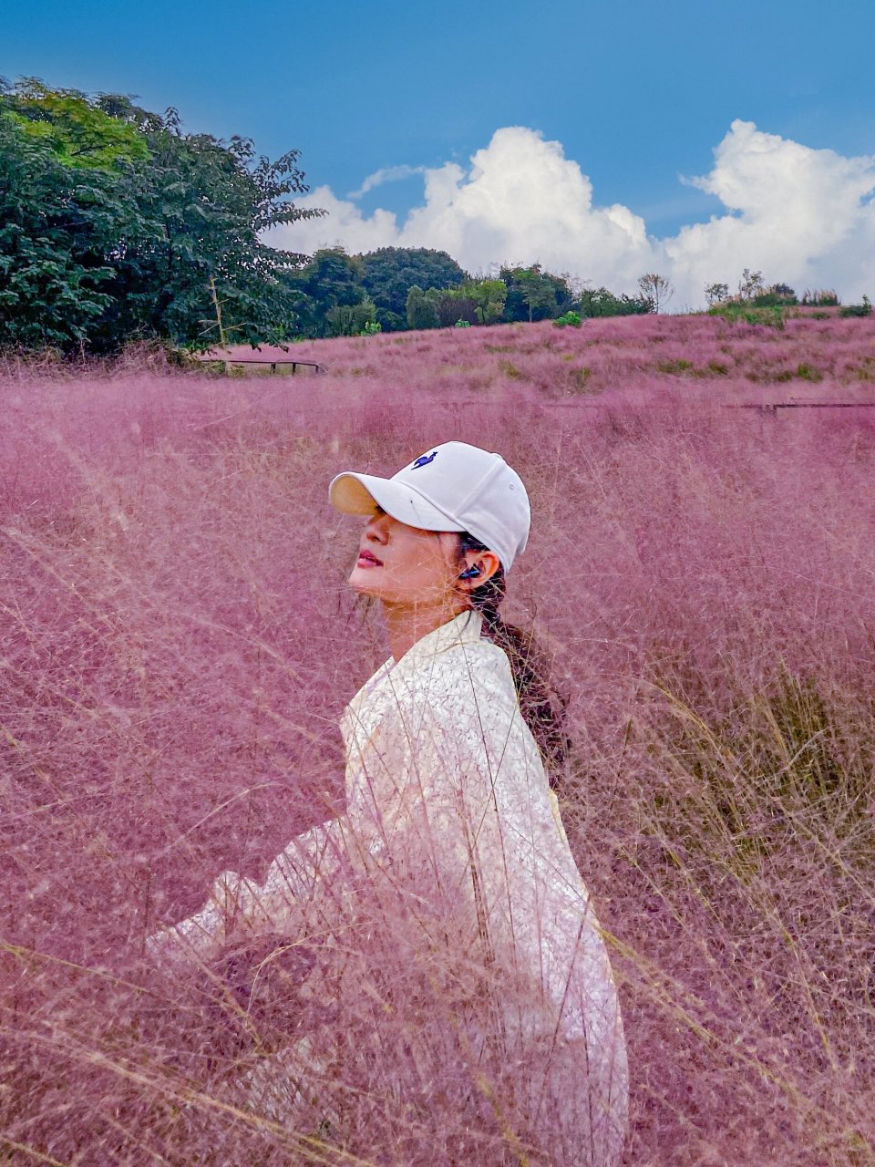 武汉市区内的免费花海来啦7515真的太仙了～ 光谷二妃山上的粉黛