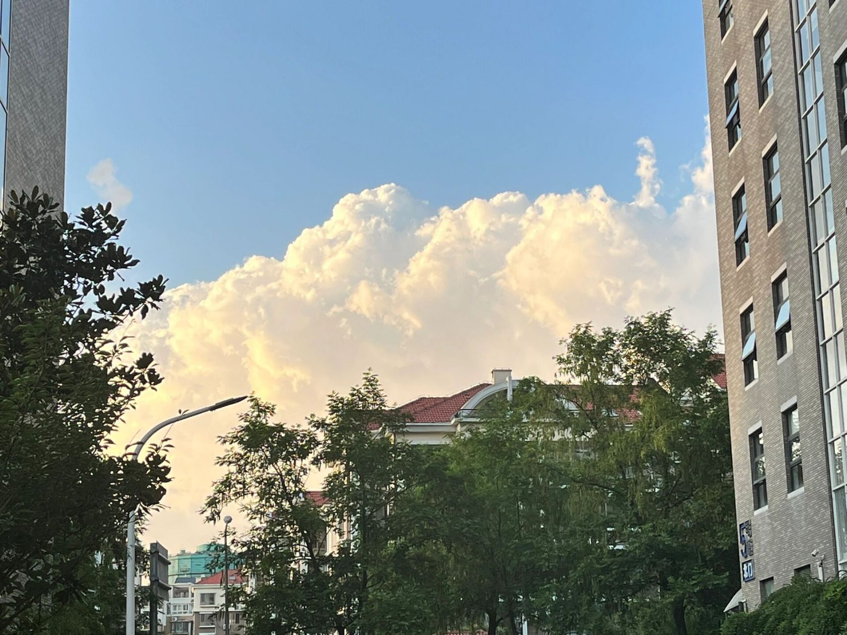 关于优创数据①,说一说我的十年工作体验 默默刷小红书有一阵了,最近