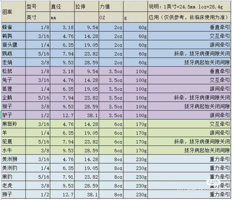 正畸皮筋型号图片