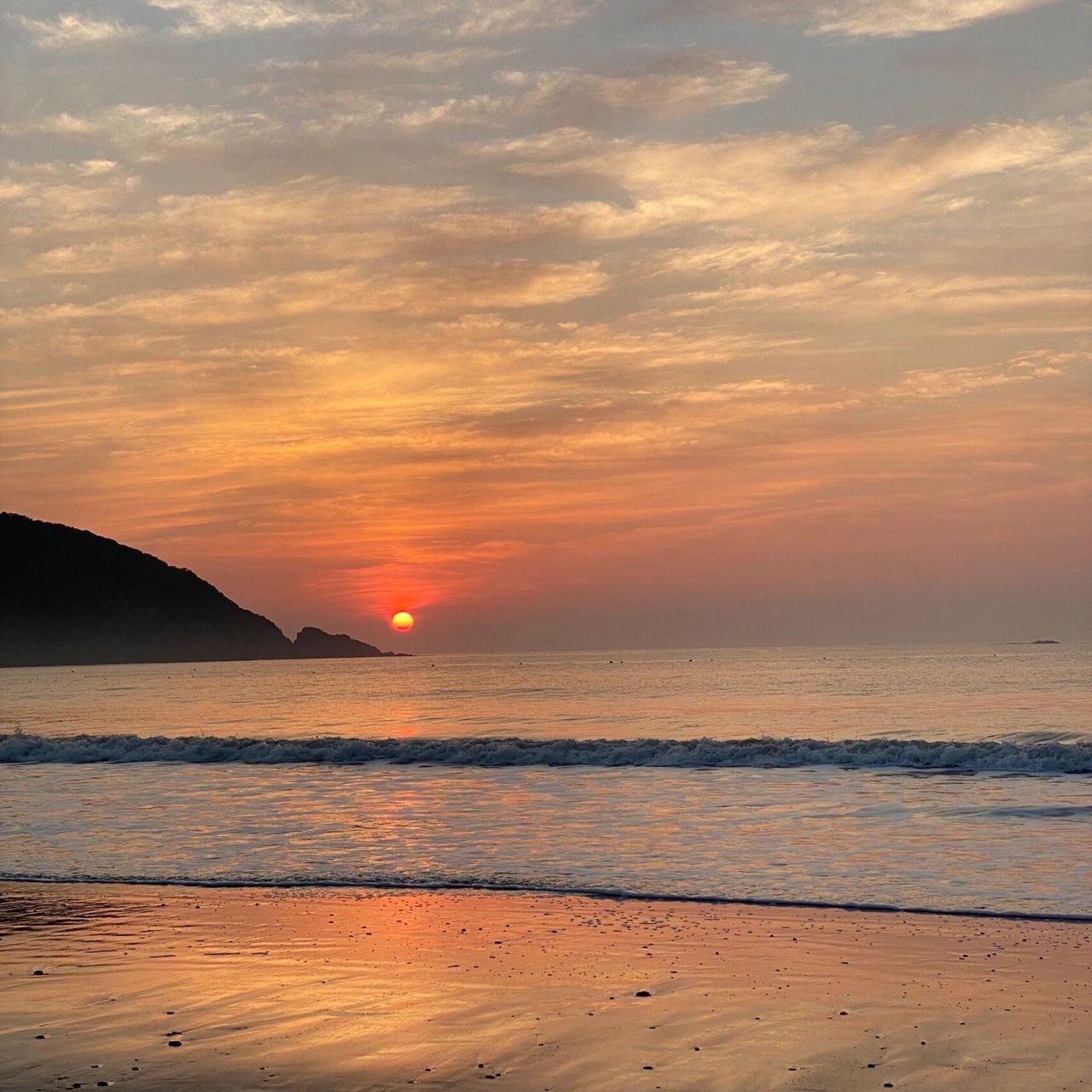 解封后,带上狗狗一起去看海之舟山朱家尖,保姆级旅游攻略纯纯干货