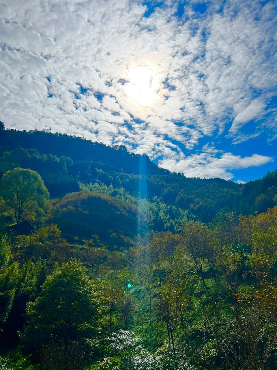 崇州金凤山徒步 金凤山整个大环线14km,这个时间黄叶还不多,朋友们