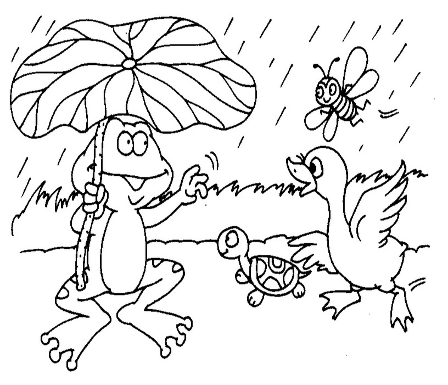 看图写话 青蛙的荷叶伞 周末,天气晴朗,青蛙和小乌龟,白鹅,还有小蜜蜂