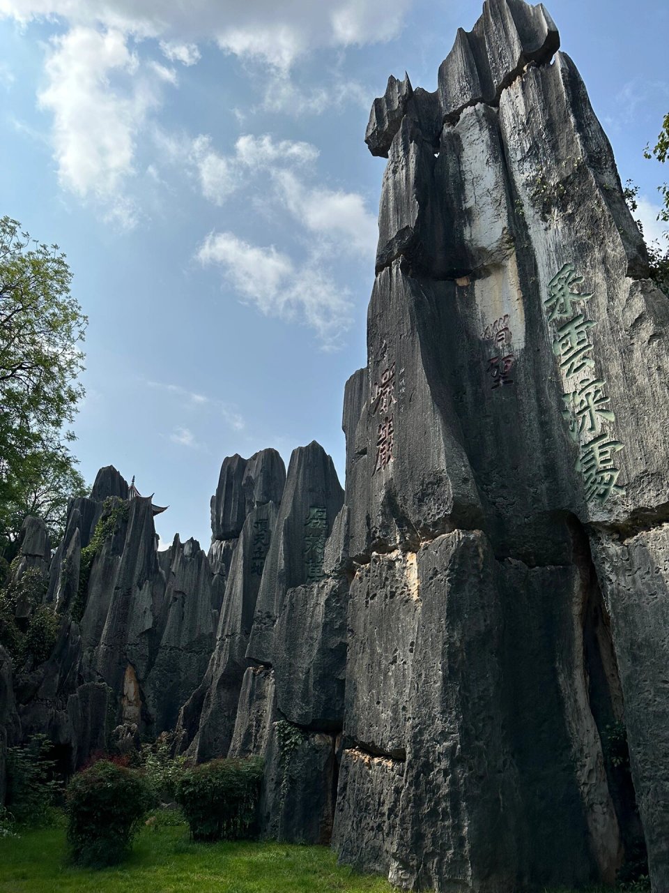 游昆明石林风景区～附攻略 16615景区介绍:石林是典型的喀斯特