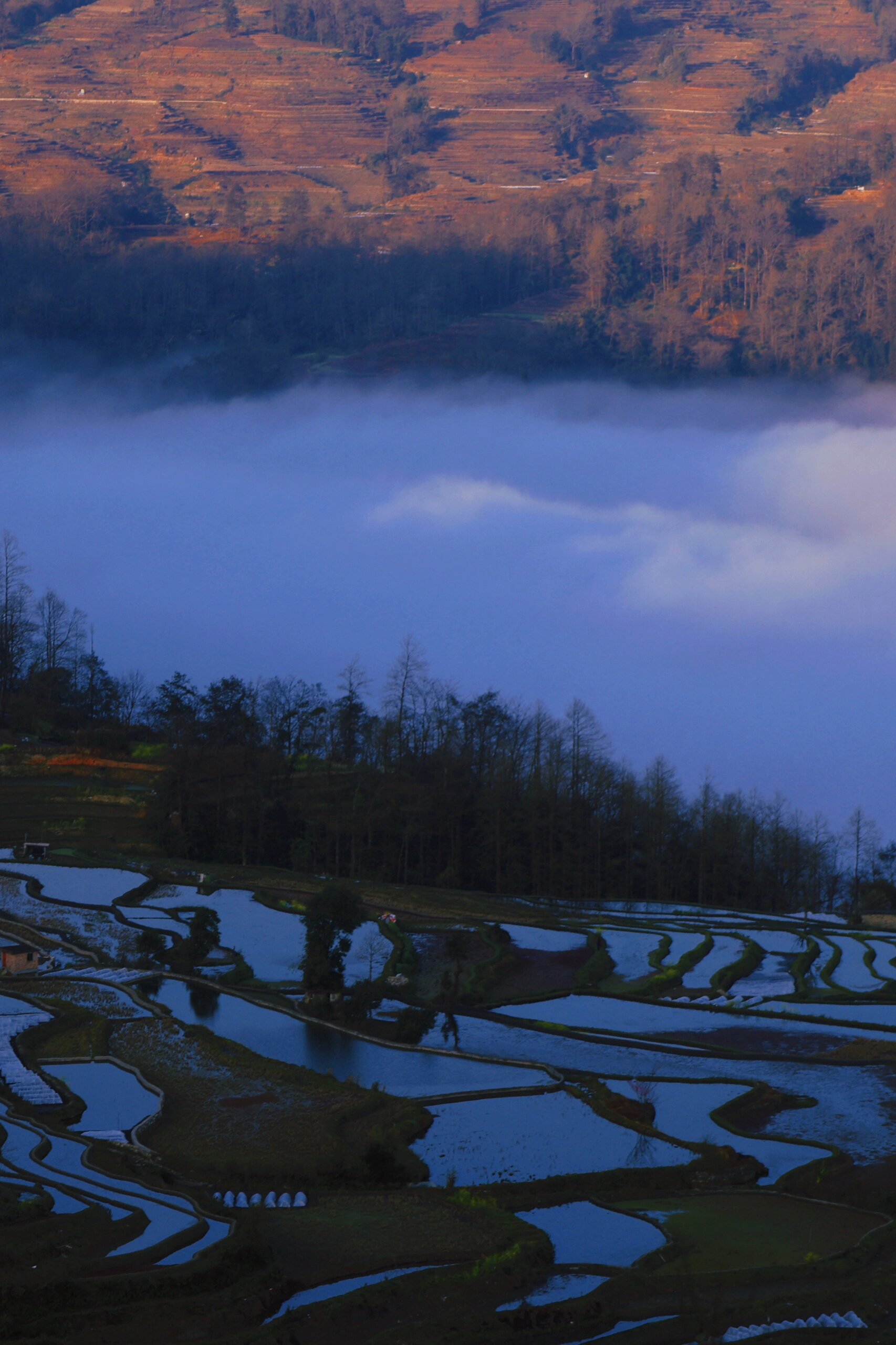 我的龙年新游记第十六站 99云南省红河哈尼族彝族自治州元阳县 99