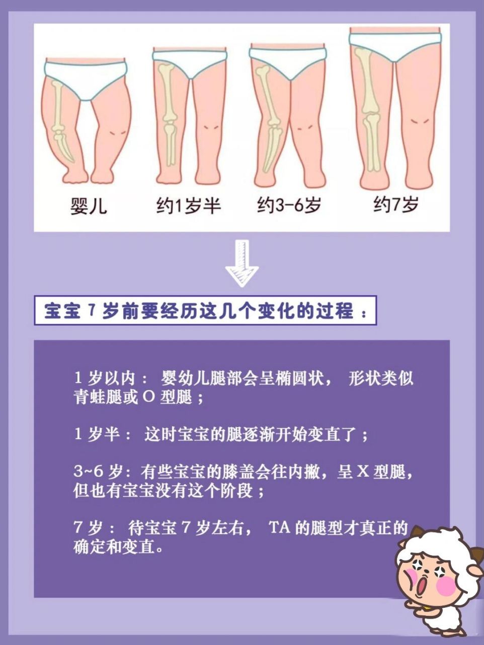 婴儿腿为什么会弯曲?