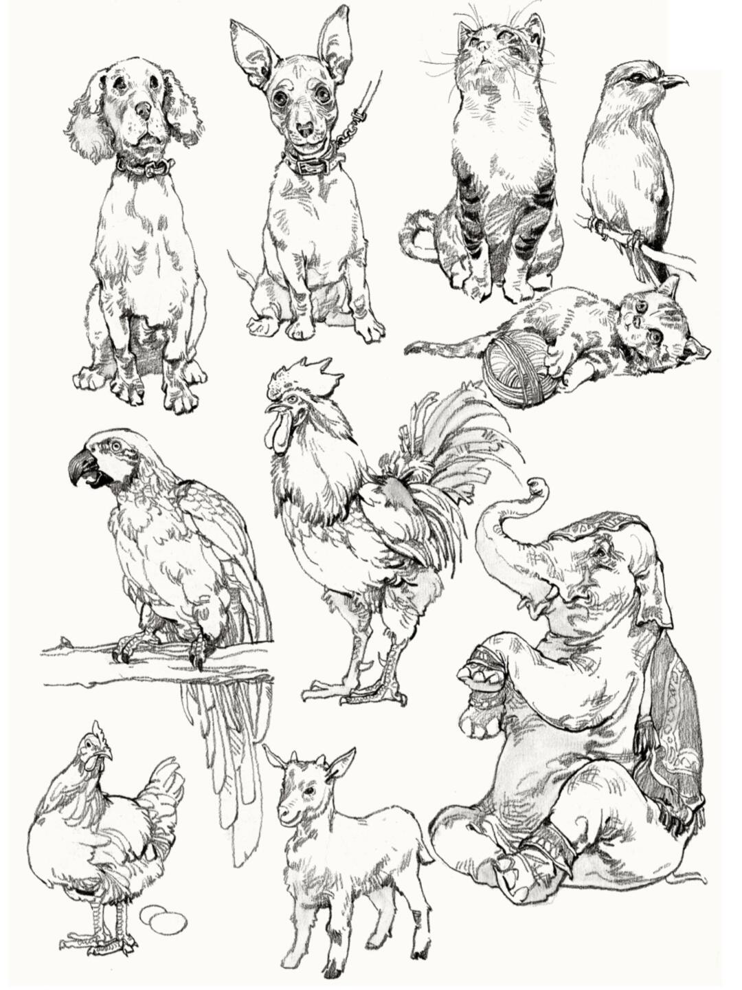 速写动物集合了,氛围提升好素材