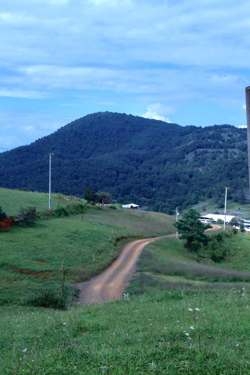 寻甸凤龙山 生活无解,野外撒野.