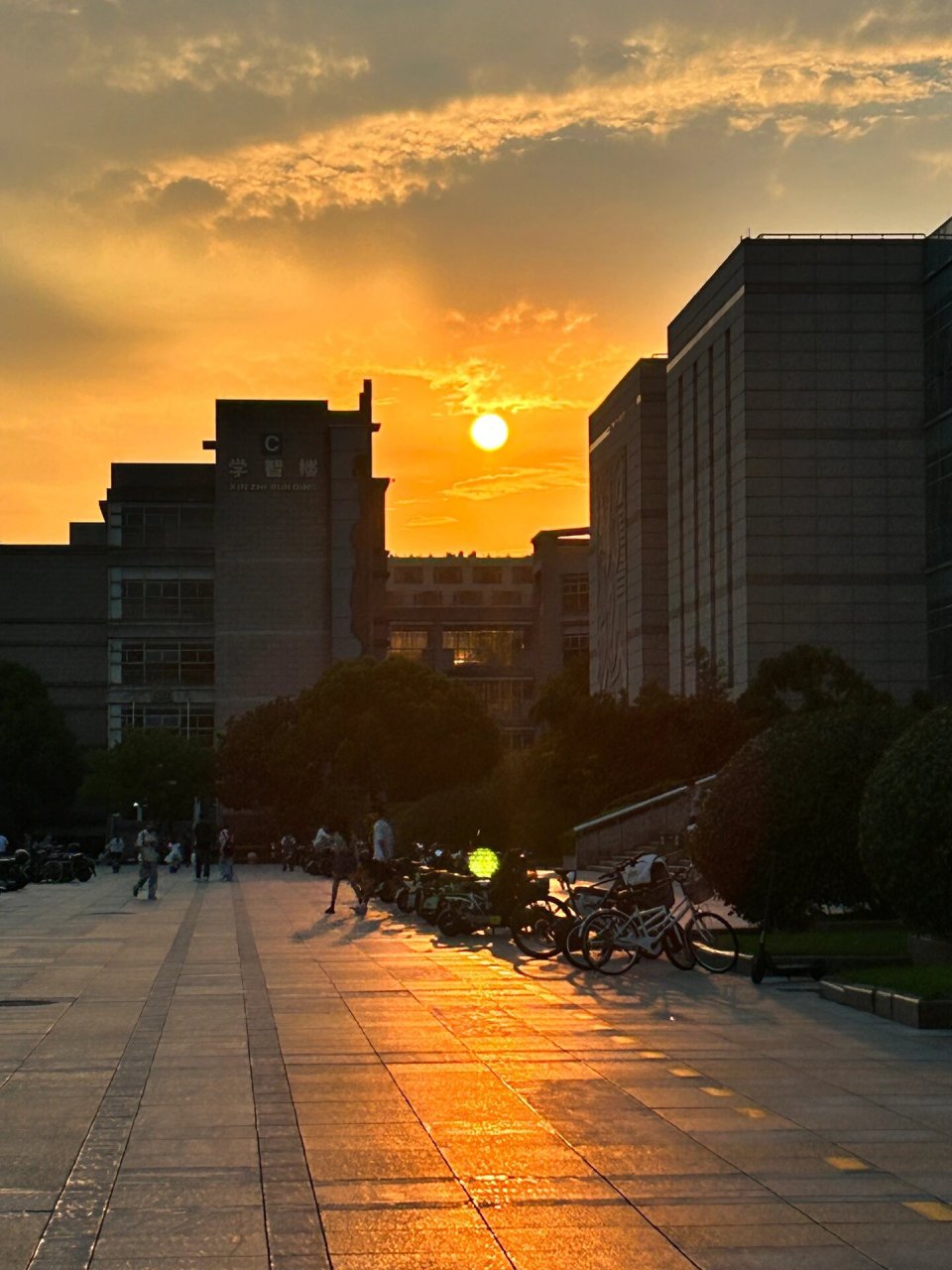 浙江财经大学|今天正式成为zufer啦0505 06今天正式报道浙财啦