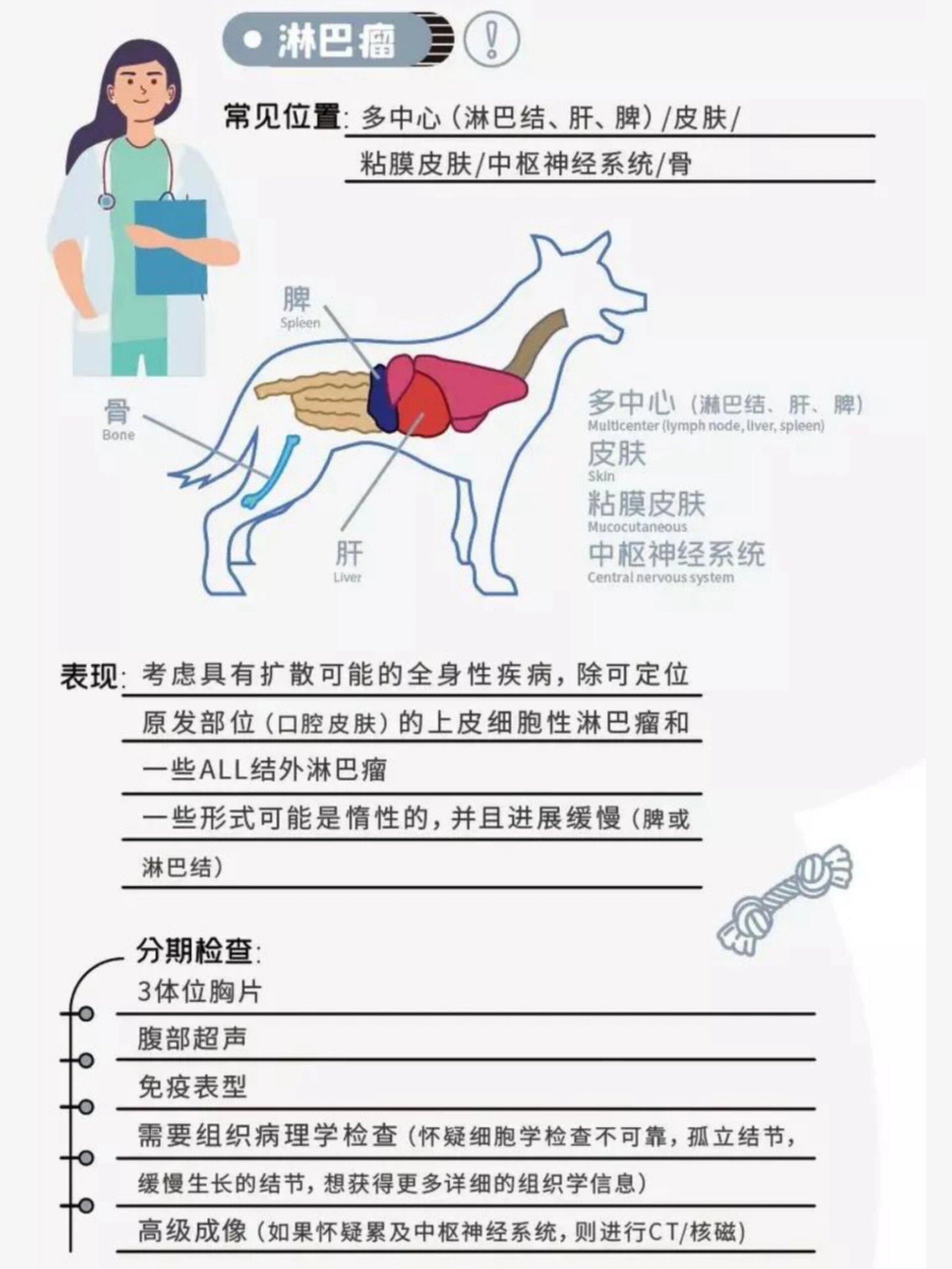 狗狗常见肿瘤——淋巴瘤