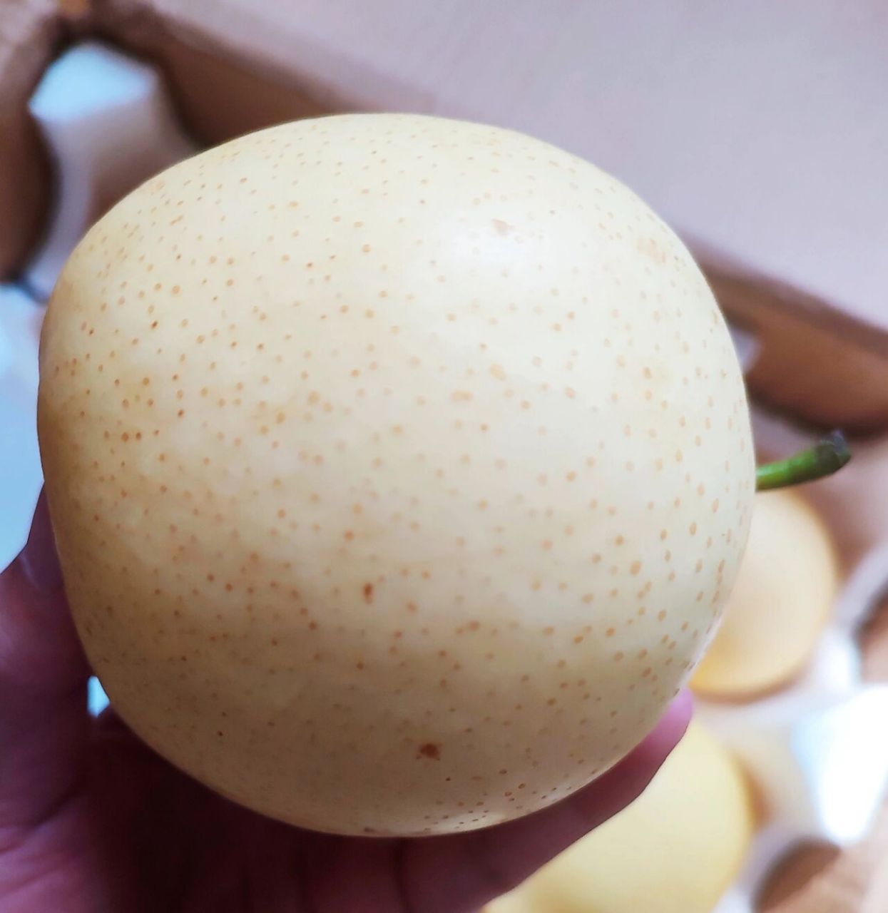 这是我今年吃到的最好吃的皇冠梨,真的绝了 今年