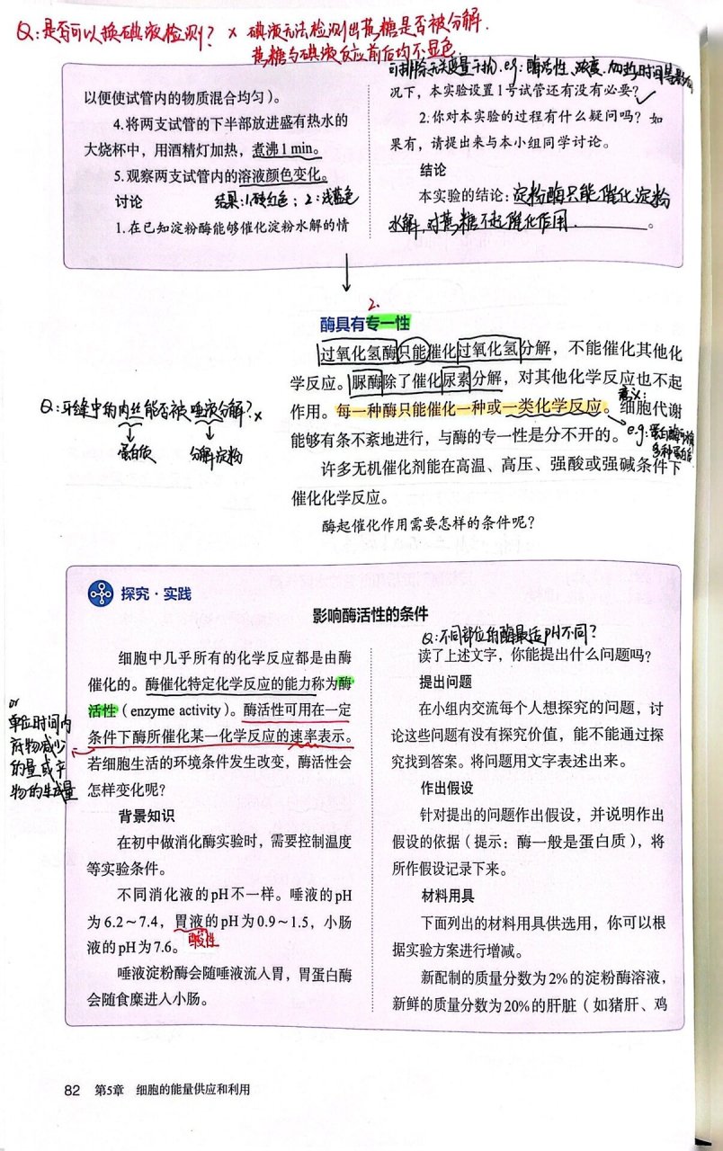 高中生物必修一第五章第一节(二 课本笔记 降低化学反应活化能的酶