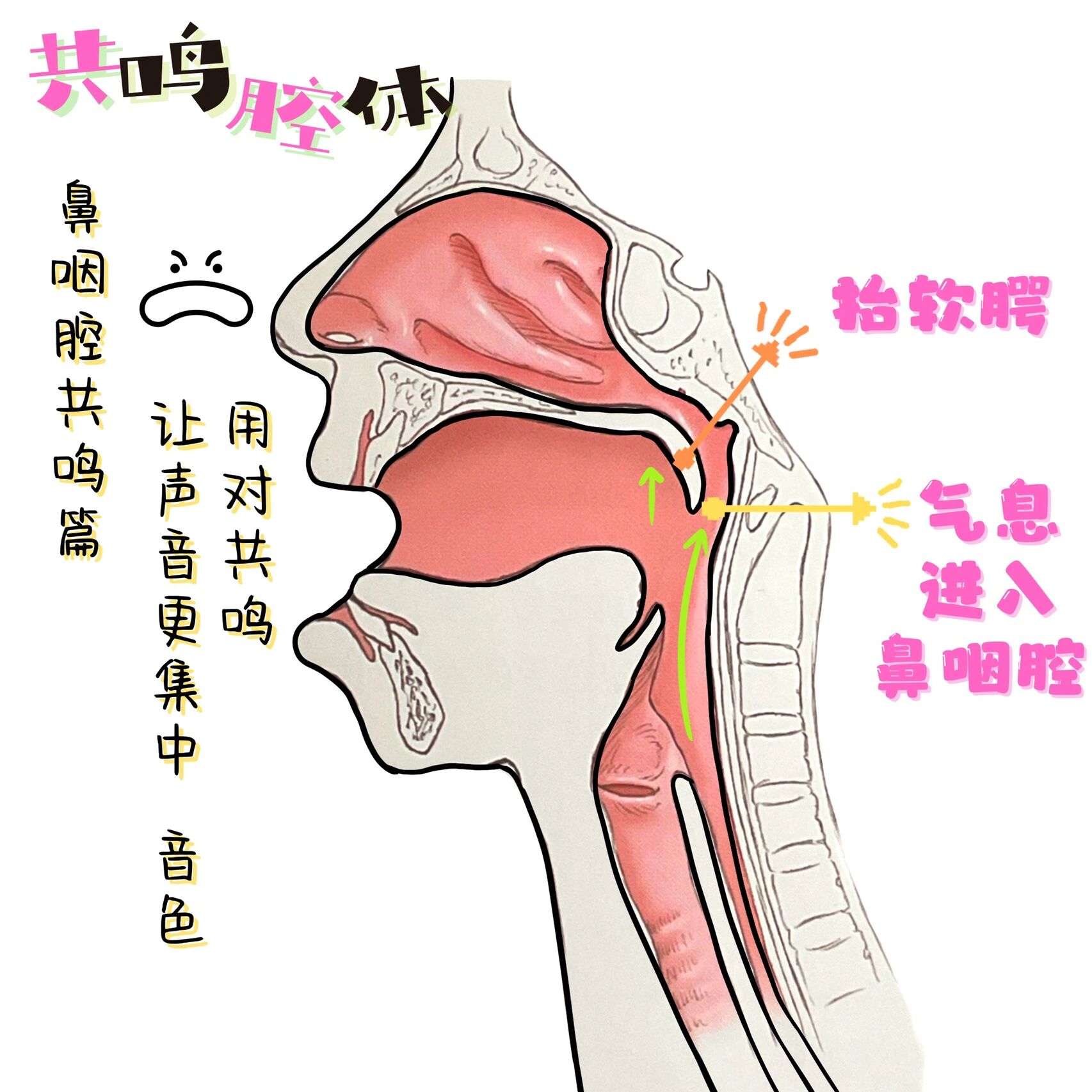 腔体共鸣图片