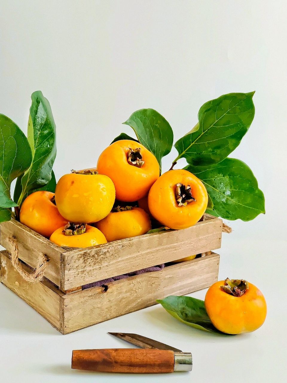 1000集美术生静物素材合集分享 | 柿子