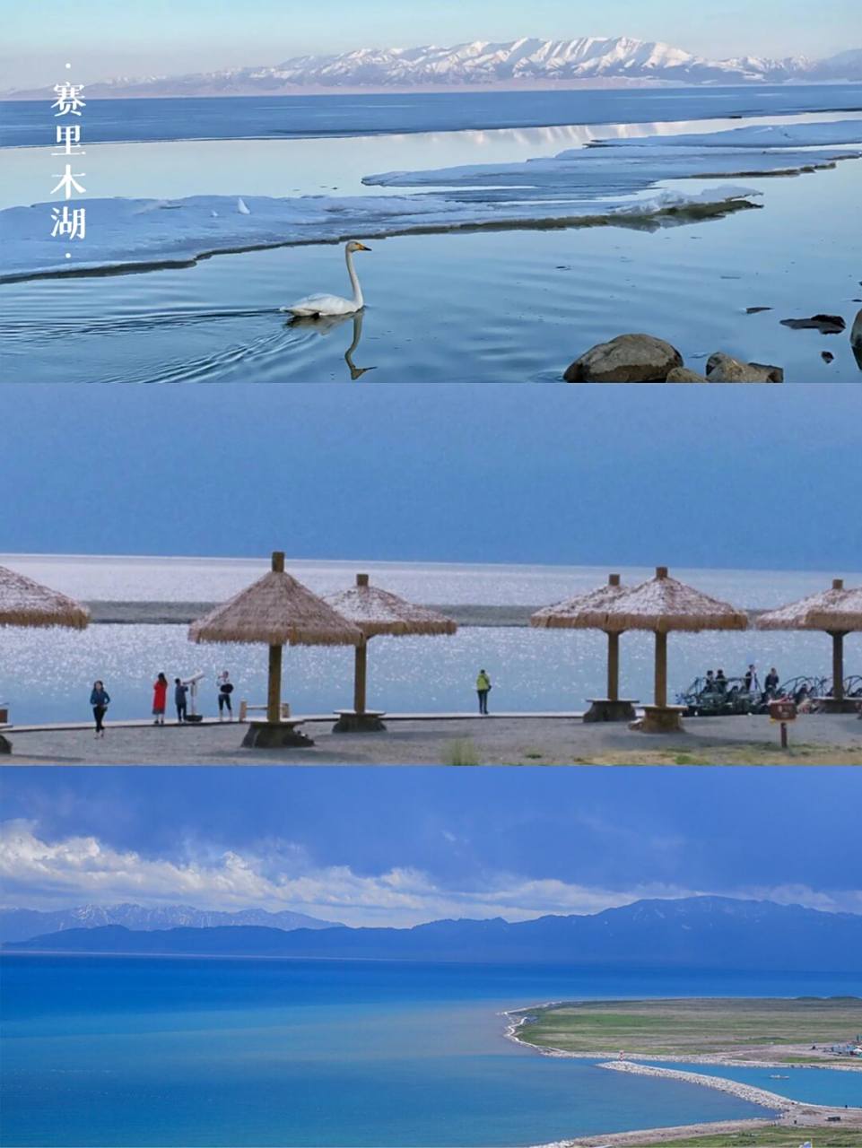 赛里木湖门票(赛里木湖门票怎么买)