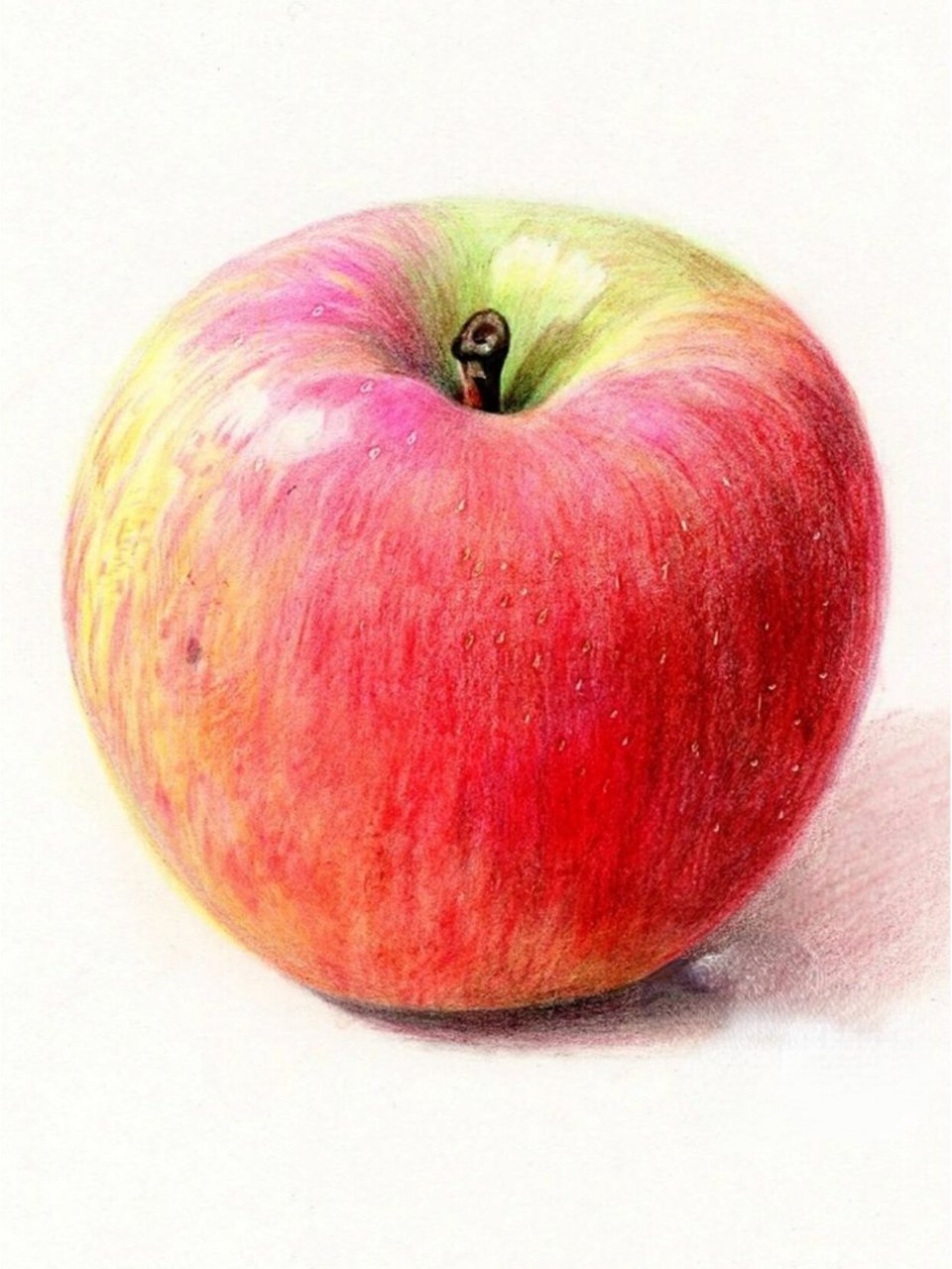 彩铅---苹果新手教程 🌈第一步:起型铅笔勾出大轮廓,橡皮擦留浅浅的