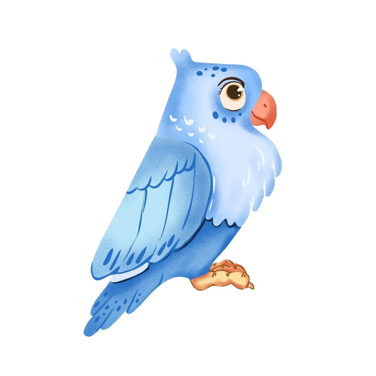 素材】手绘卡通春季鸟类元素插画 00上次给大家分享的鸟类插画元素