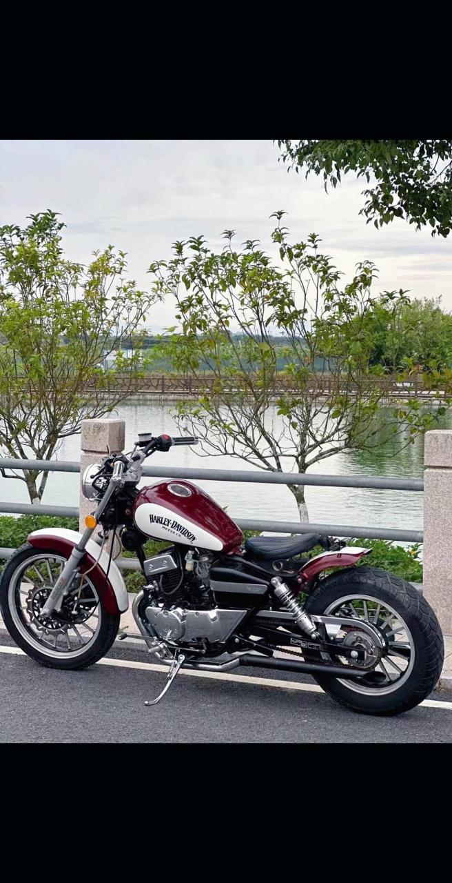 大地鹰王复古双缸250cc,骑帅不骑快!