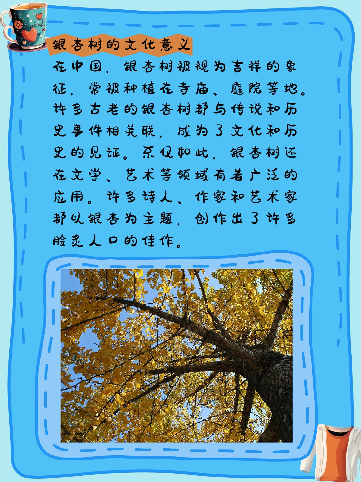 银杏树的介绍和特点