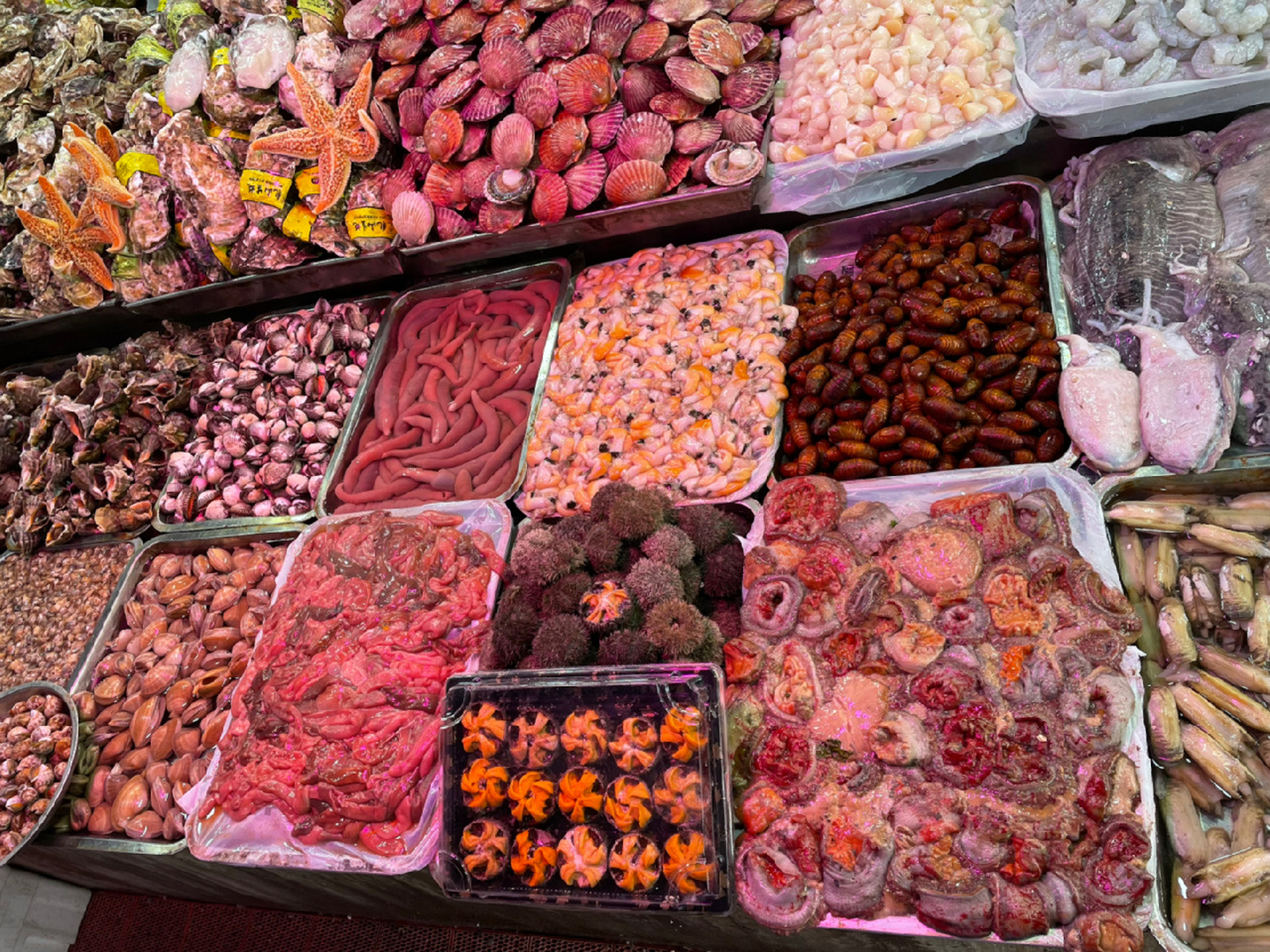 最爱逛的市场—青岛埠西海鲜批发市场 过年前的埠西市场真的好热闹哇