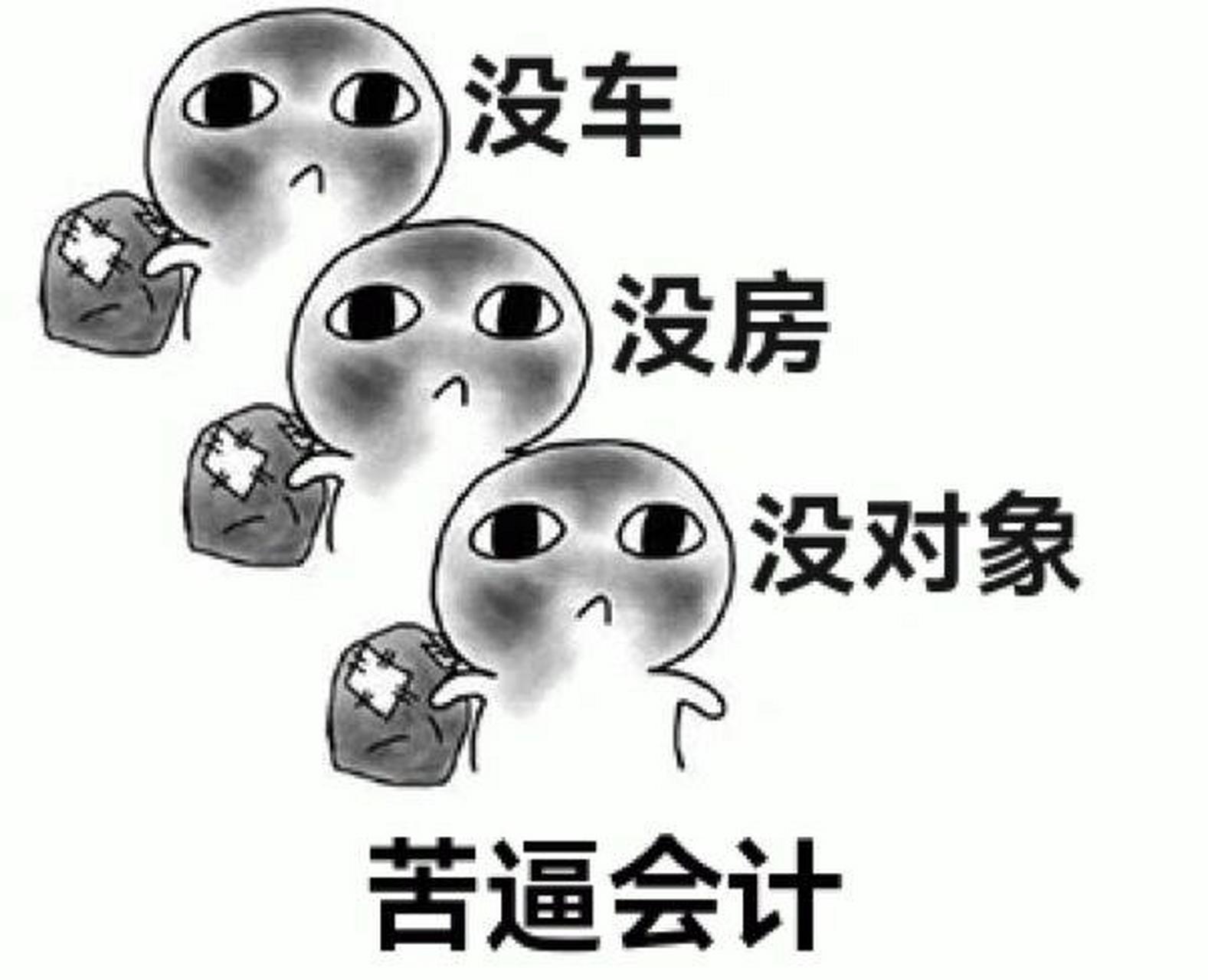 会计人表情包第三波