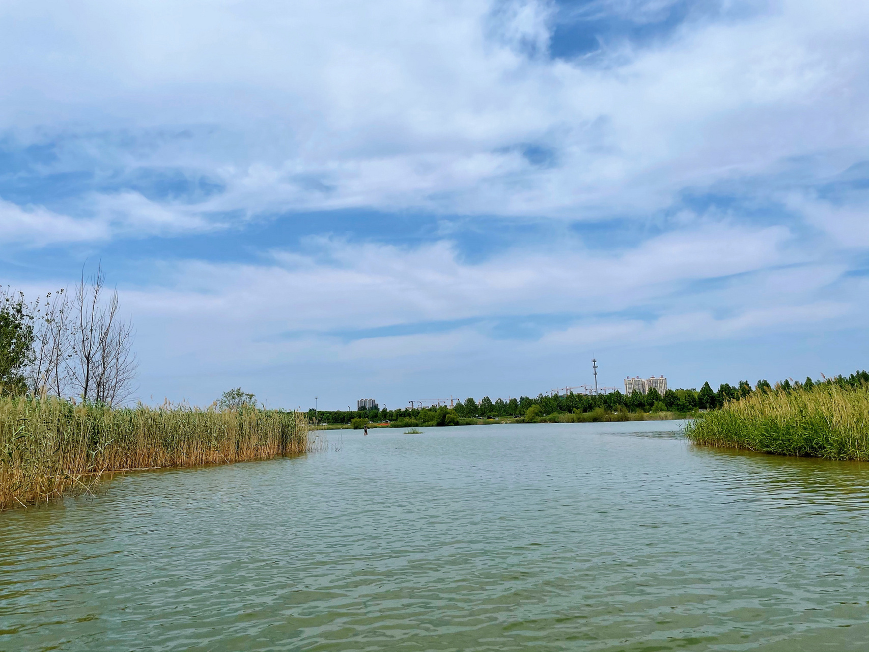 石家庄周边游之滹沱河湿地公园 庄里竟然有沙滩你敢信吗,淌水好去处
