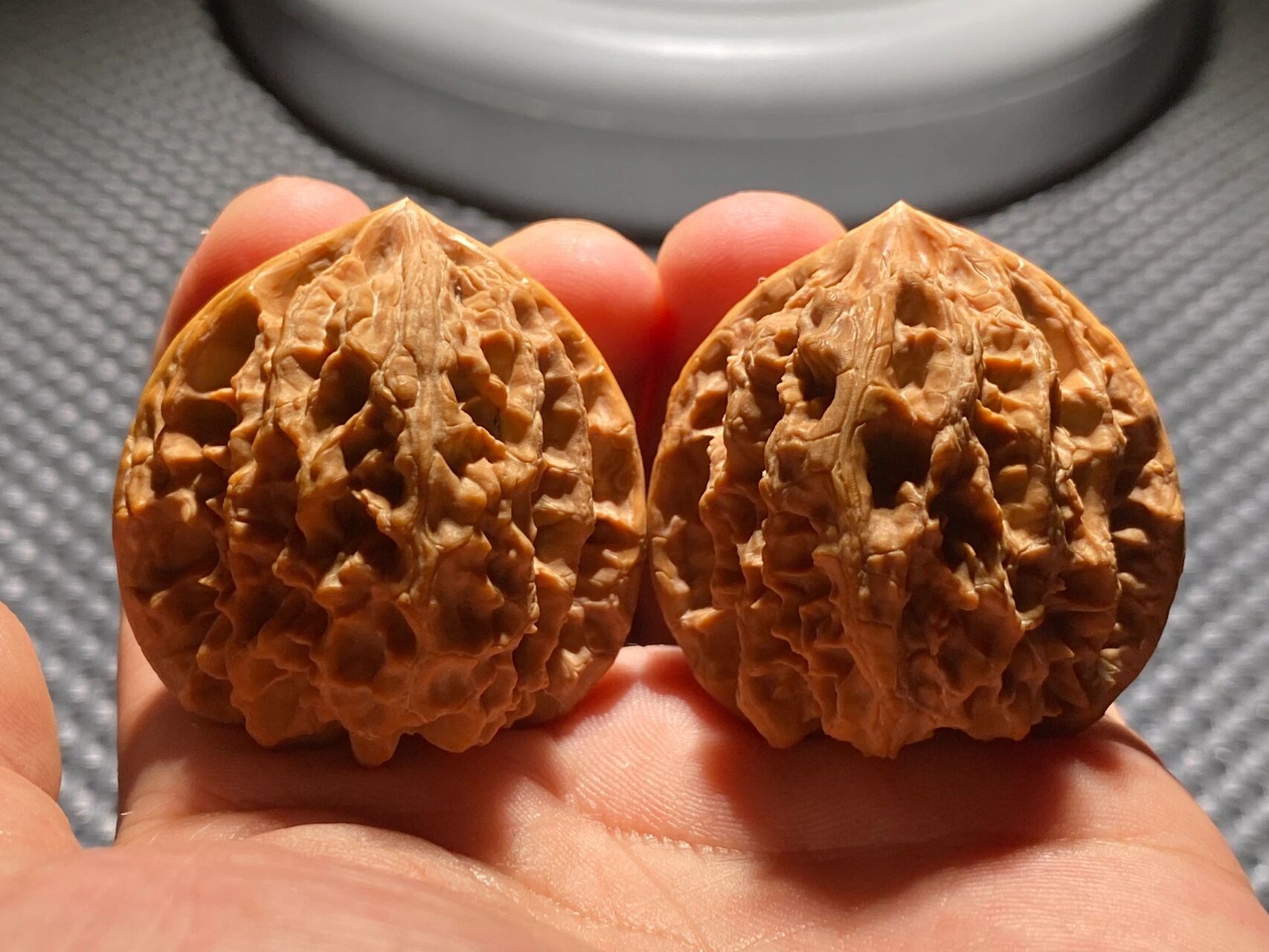 文玩核桃大刺 文玩核桃大刺猛地一听新手玩家会有些懵!