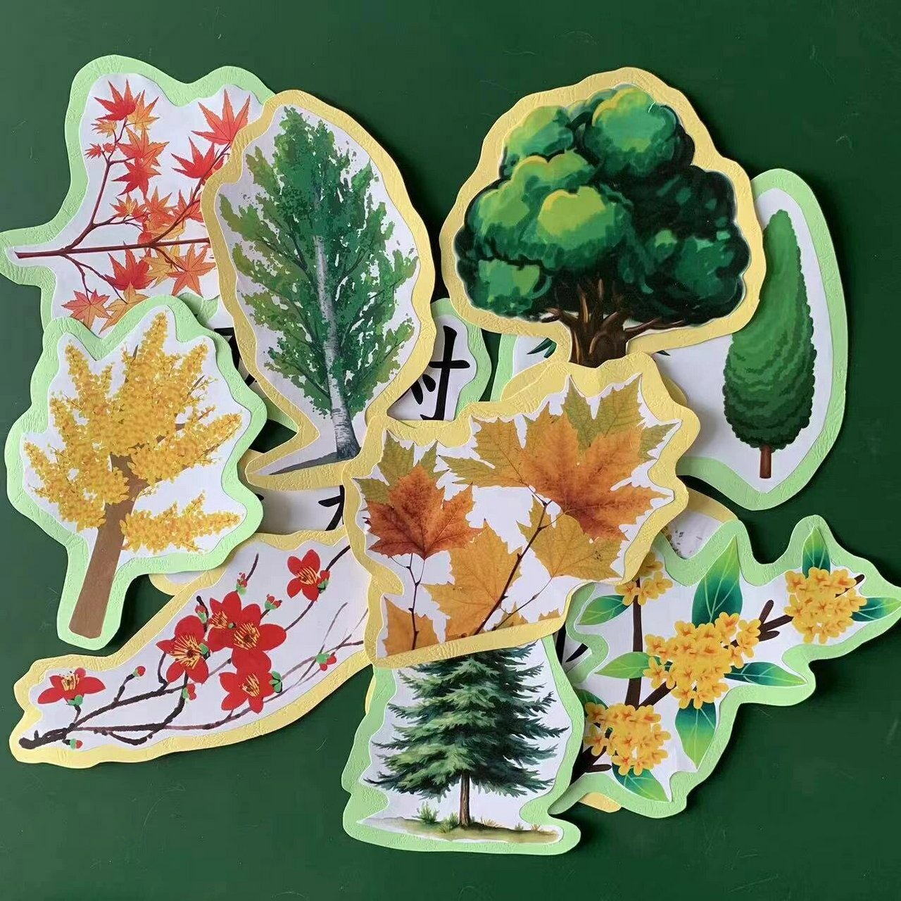 树之歌公开课教具板贴分享