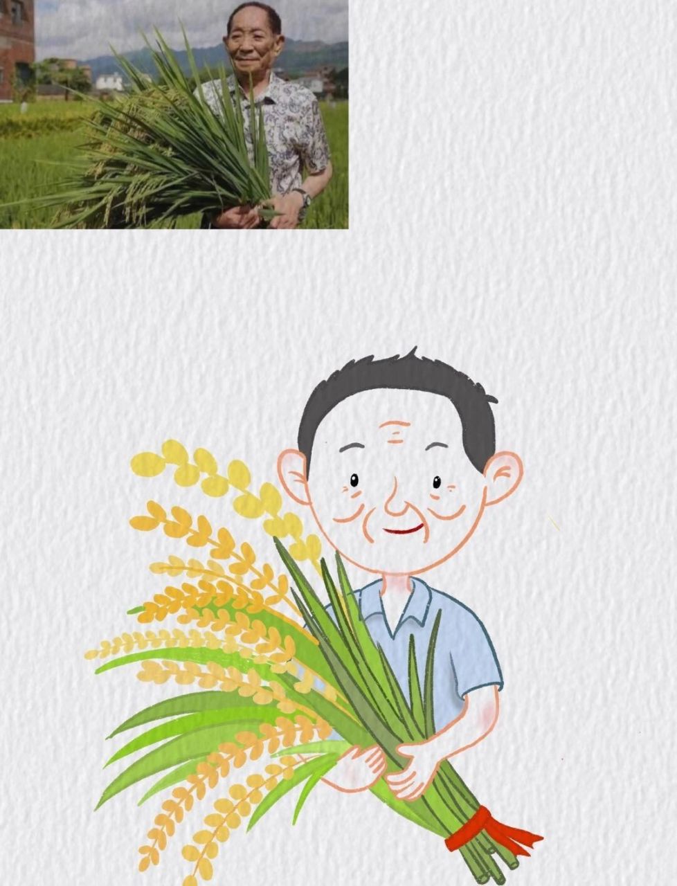 "杂交水稻之父"—袁隆平 袁隆平是农业科学家,中国杂交水稻事业的开创