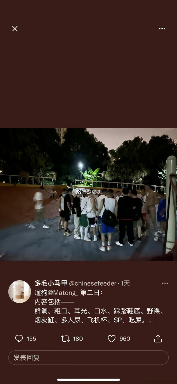 沙河公园事件(沪上外滩千人斩事件钙都沙河公园事件)